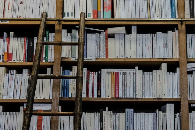 Interventi per il DIRITTO ALLO STUDIO anno 2025: Borsa di studio regionale e Buono libri
